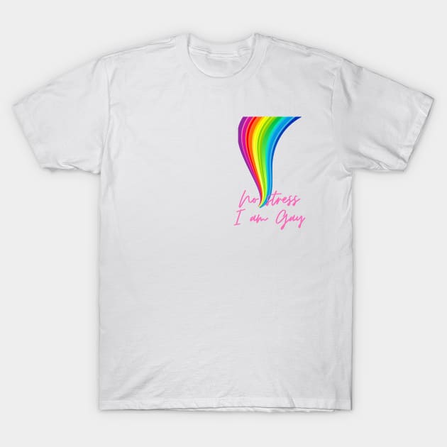No stress i am gay T-Shirt by Ales_store